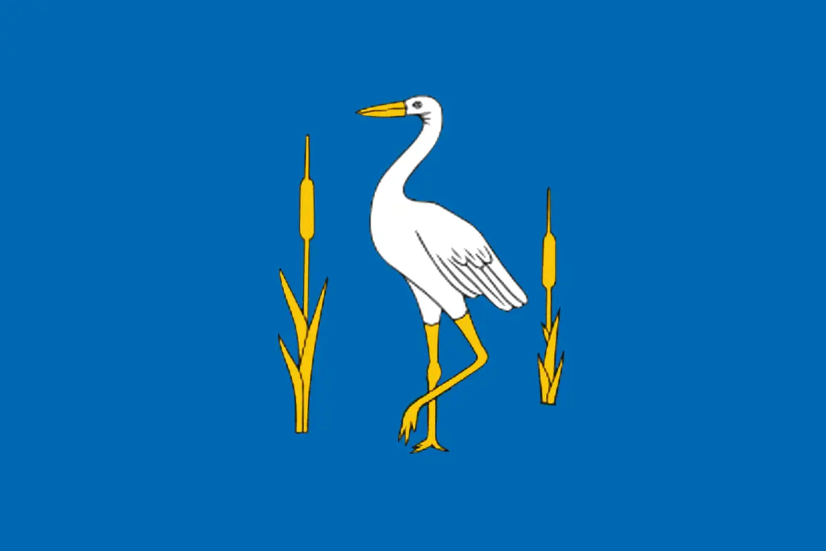 Флаг: Романовский район